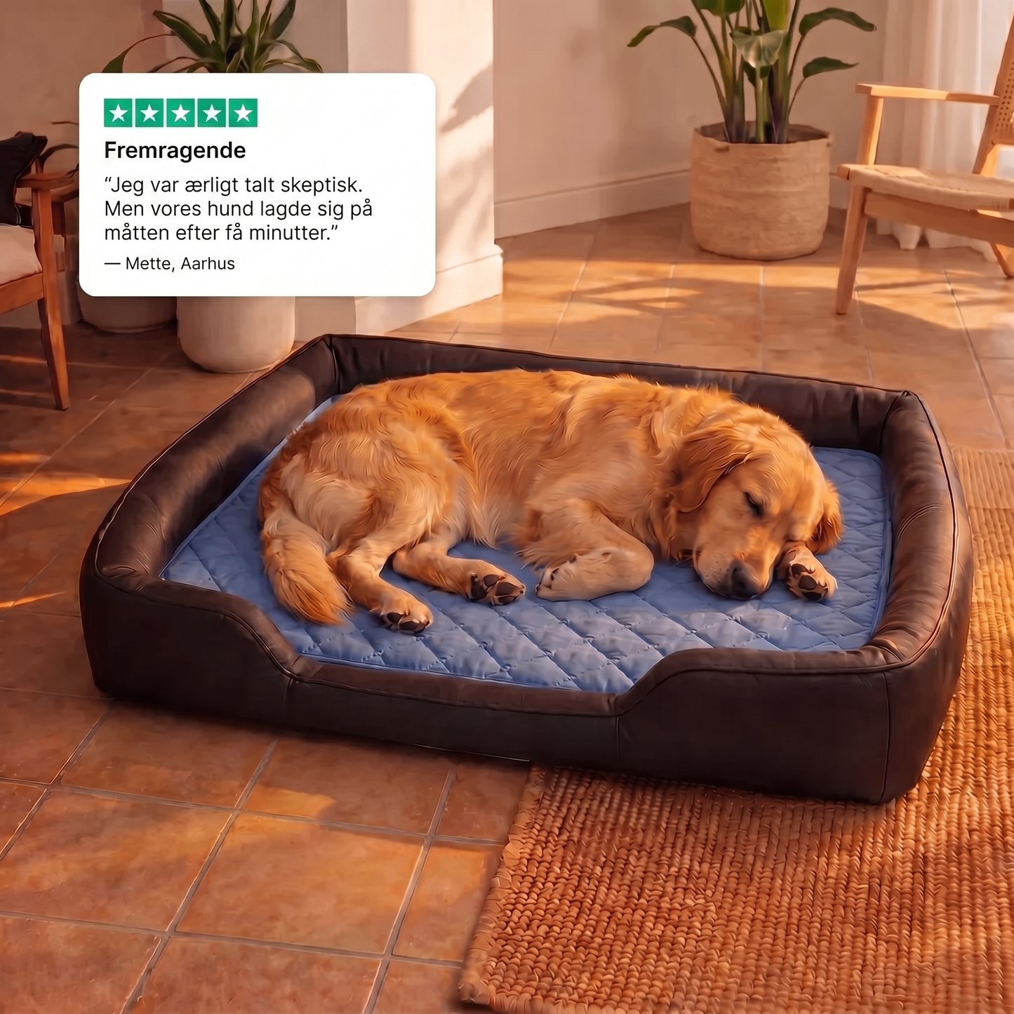 Hendig KøleMåtte™ - Når varmen bliver for meget for din hund