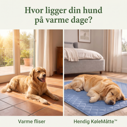 Hendig KøleMåtte™ - Når varmen bliver for meget for din hund