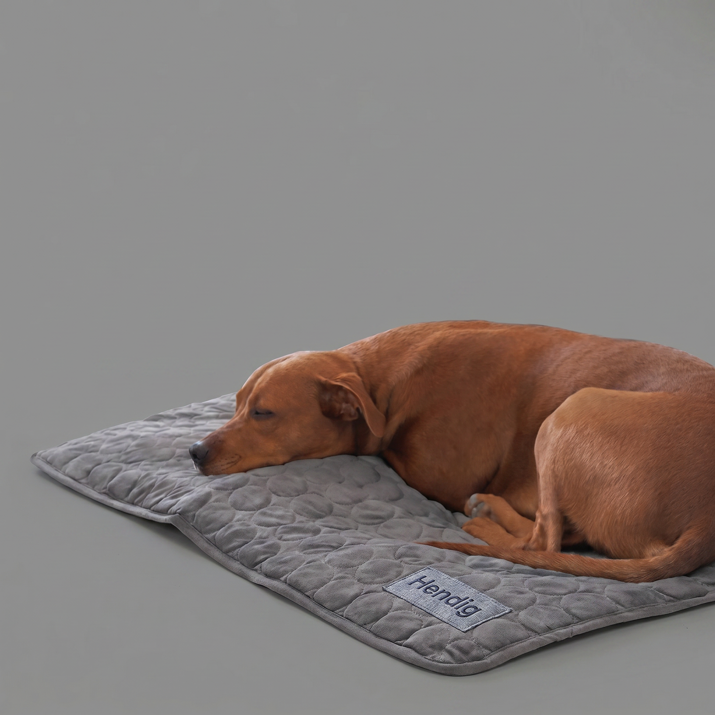 Hendig KøleMåtte™ - Når varmen bliver for meget for din hund