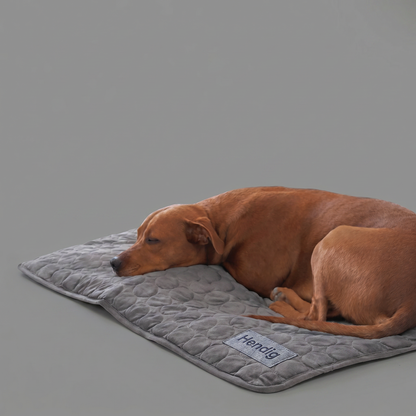 Hendig KøleMåtte™ - Når varmen bliver for meget for din hund
