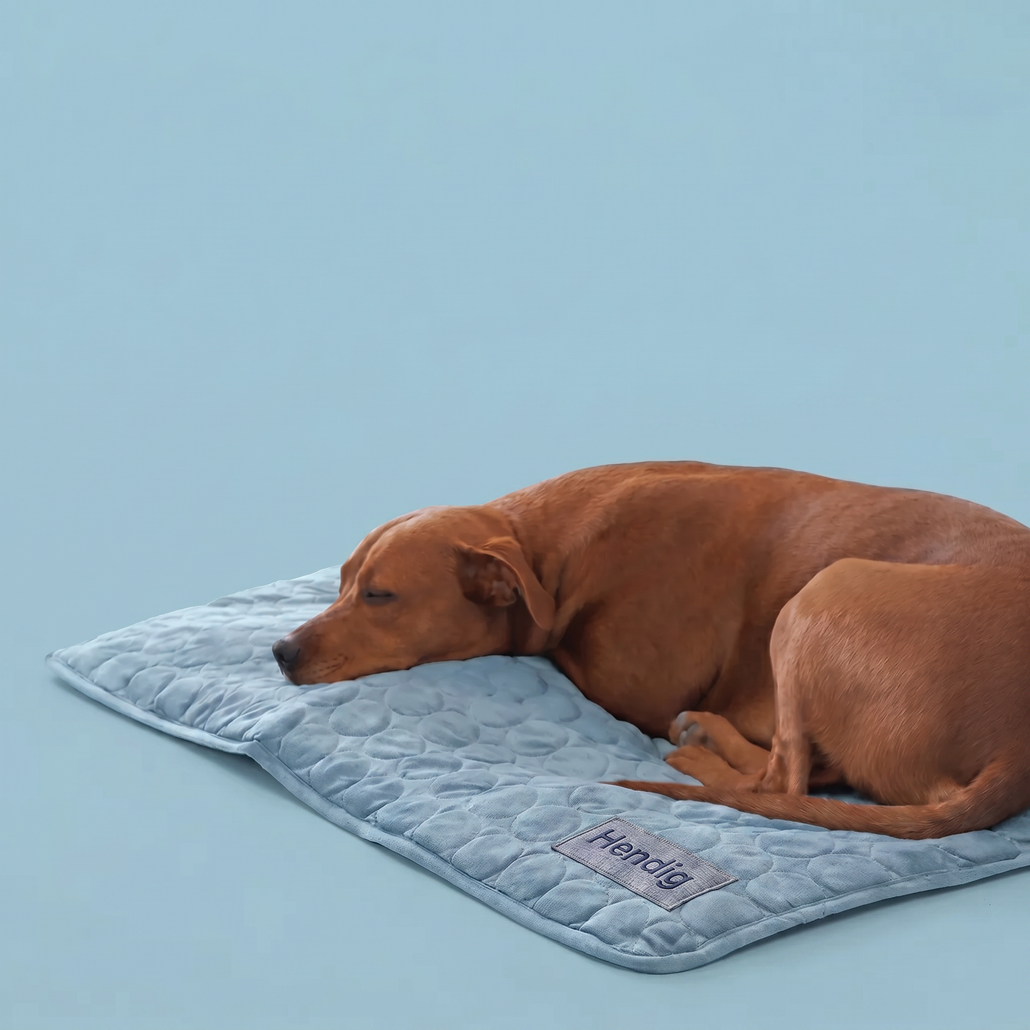 Hendig KøleMåtte™ - Når varmen bliver for meget for din hund
